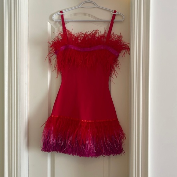 STAUD Dresses & Skirts - STAUD - ETTA- feather trim mini